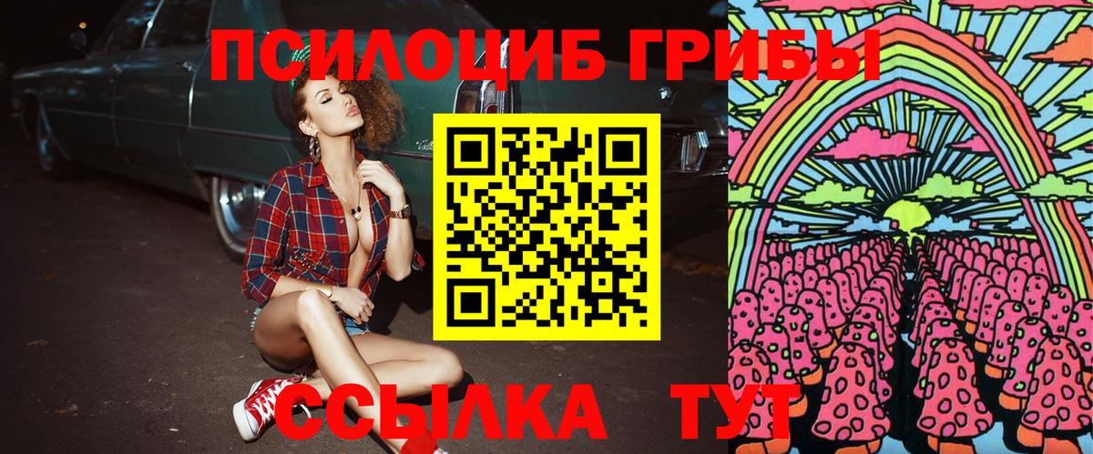 Калач-на-Дону  Псилоцибиновые грибы прущие грибы  Галлюциногенные грибы Psilocybine cubensis  Вход с VPN 